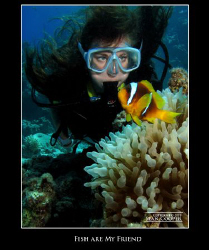 Fish are my friend! by Sean Cooper 